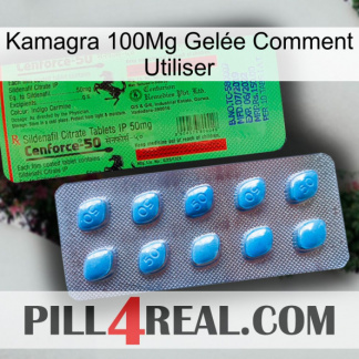 Kamagra 100Mg Gelée Comment Utiliser new03